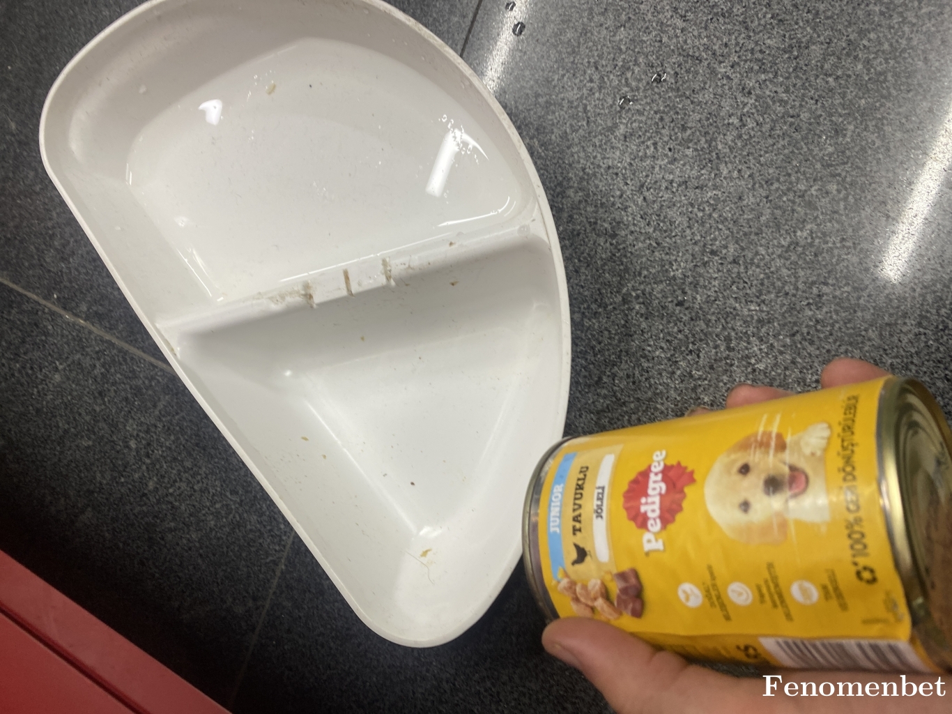 UYGUNTR24 tarafından paylaşıldı