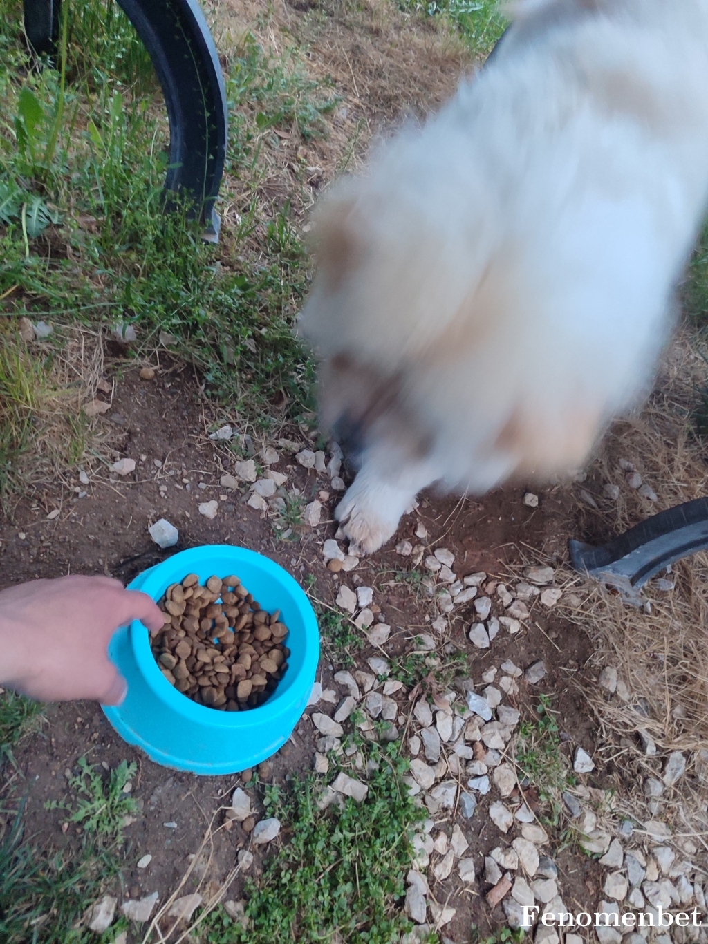 Smlekz tarafından paylaşıldı