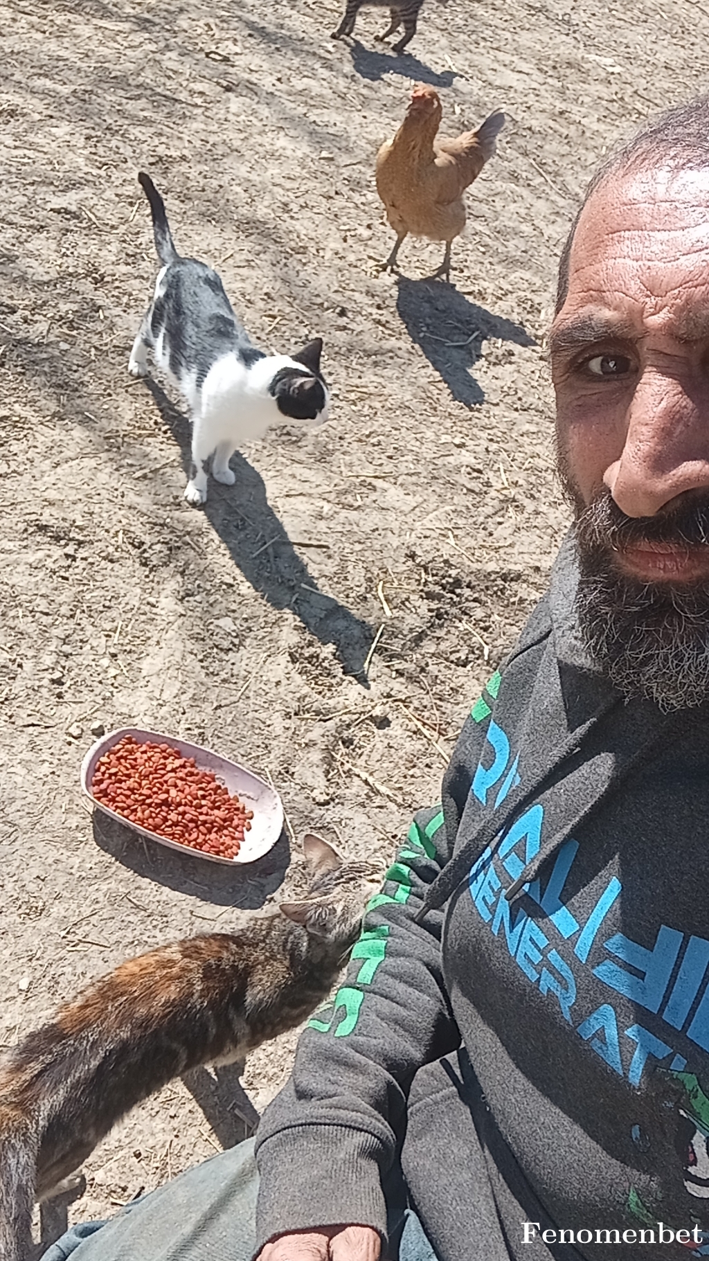 Meh441 tarafından paylaşıldı