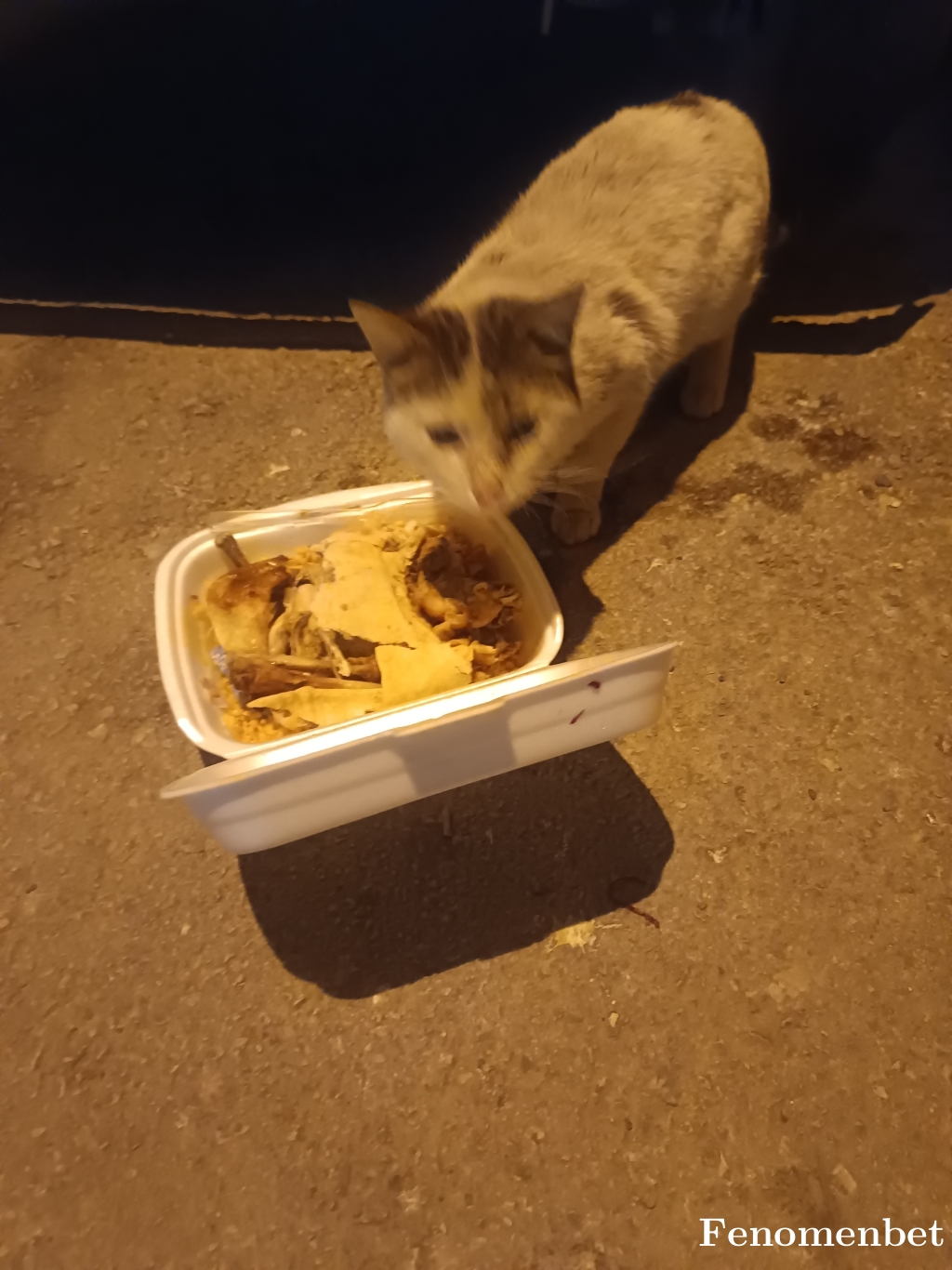 Musti274 tarafından paylaşıldı