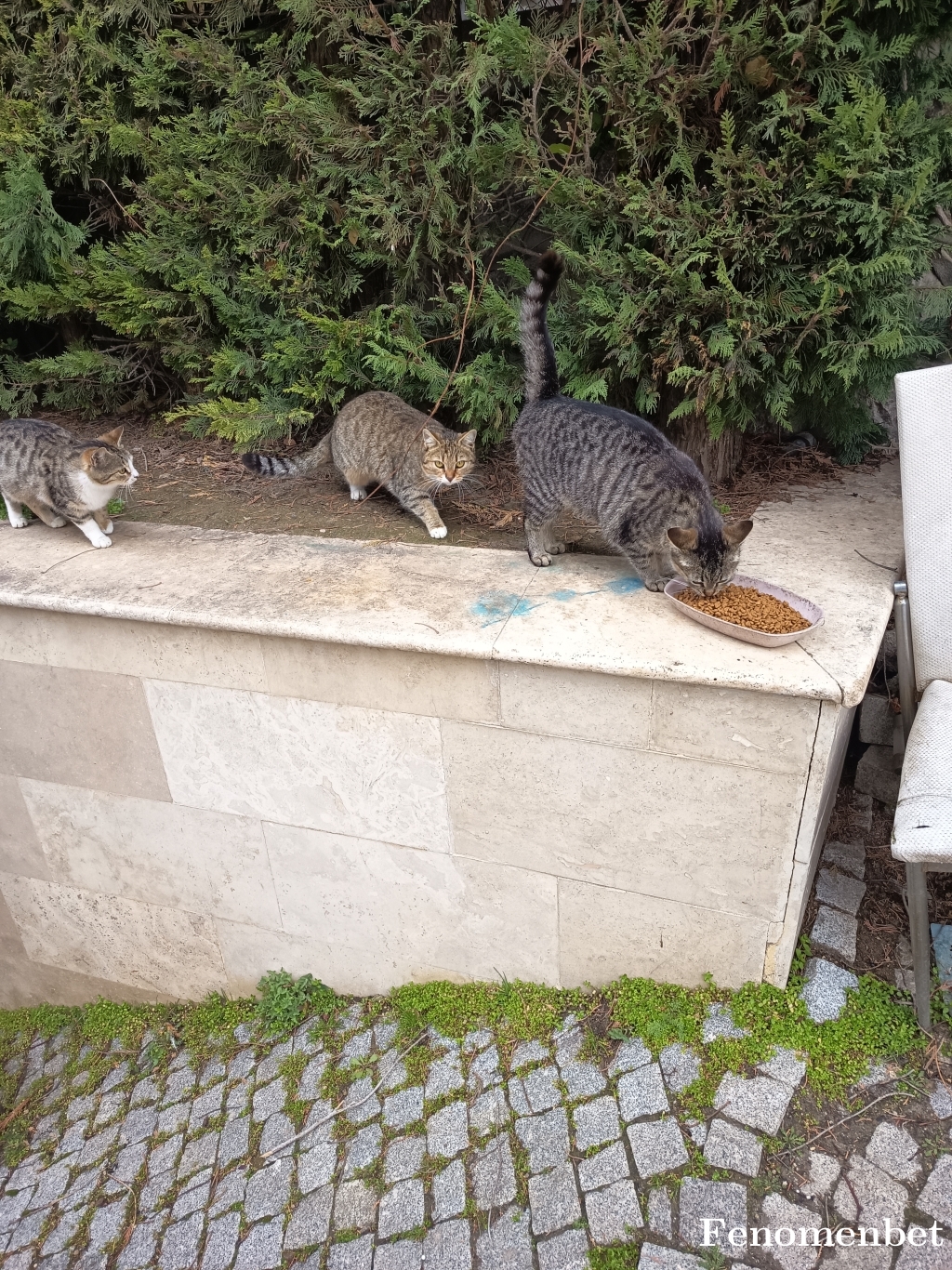 Mila23 tarafından paylaşıldı