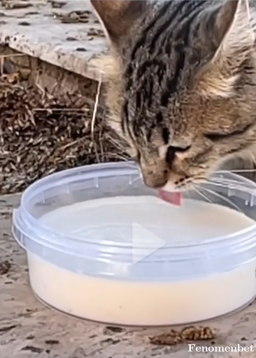 Piltover tarafından paylaşıldı