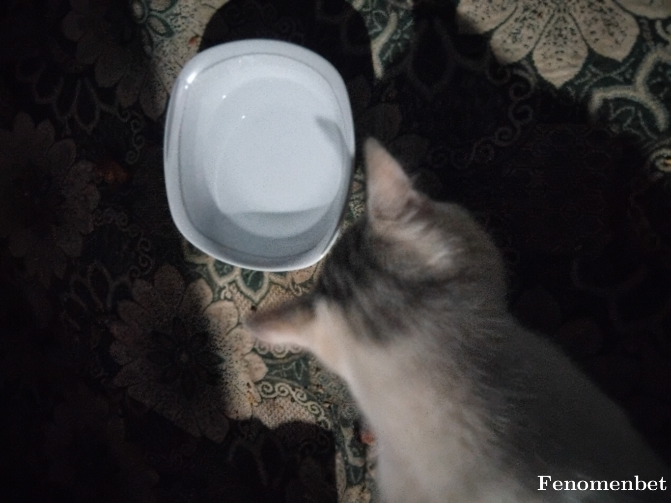 Ddawned tarafından paylaşıldı