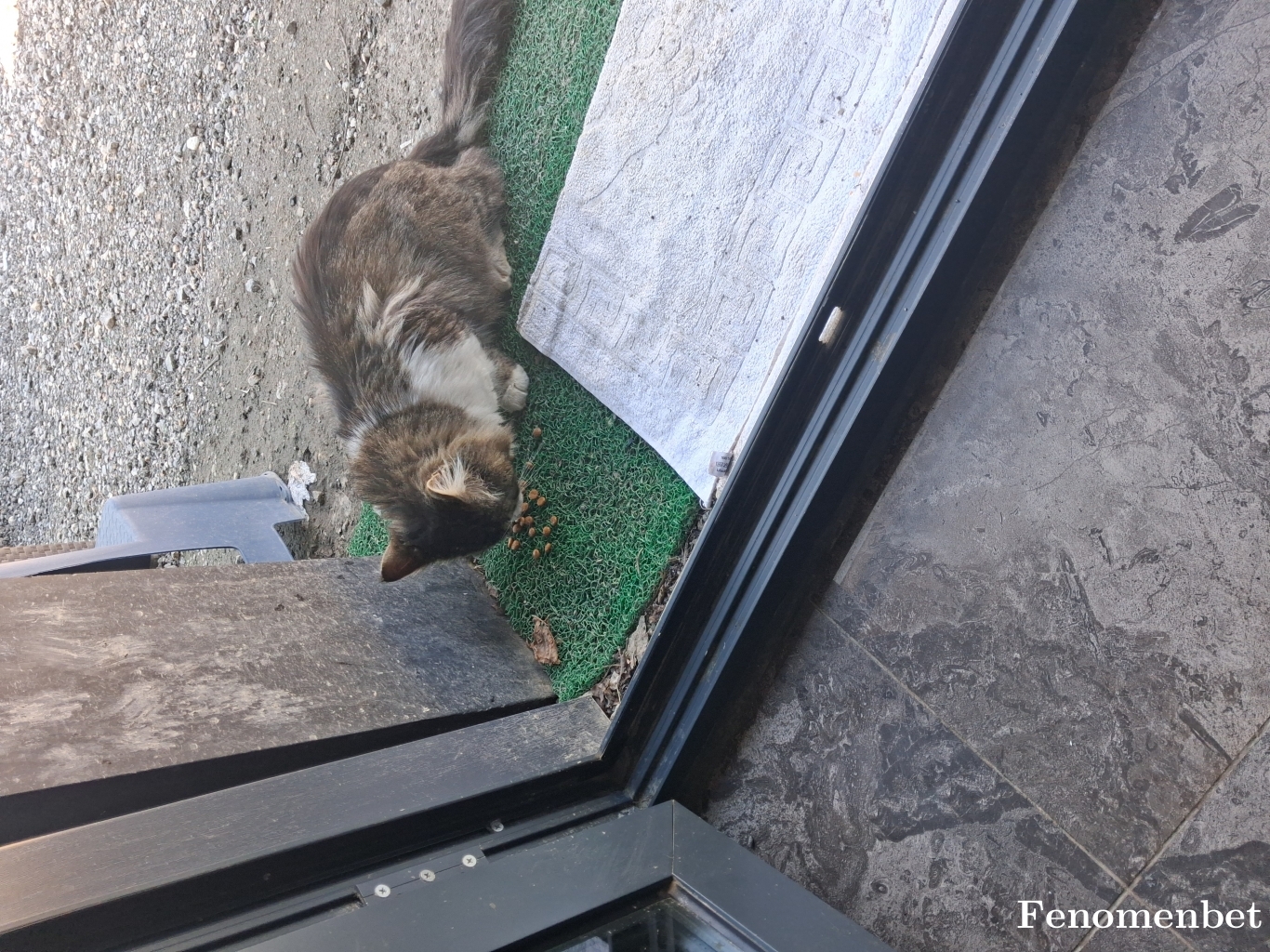 karmate53 tarafından paylaşıldı