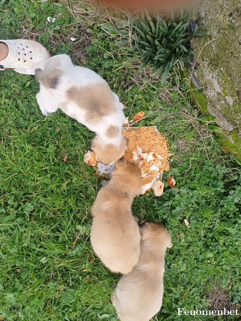 osmndmnlr tarafından paylaşıldı