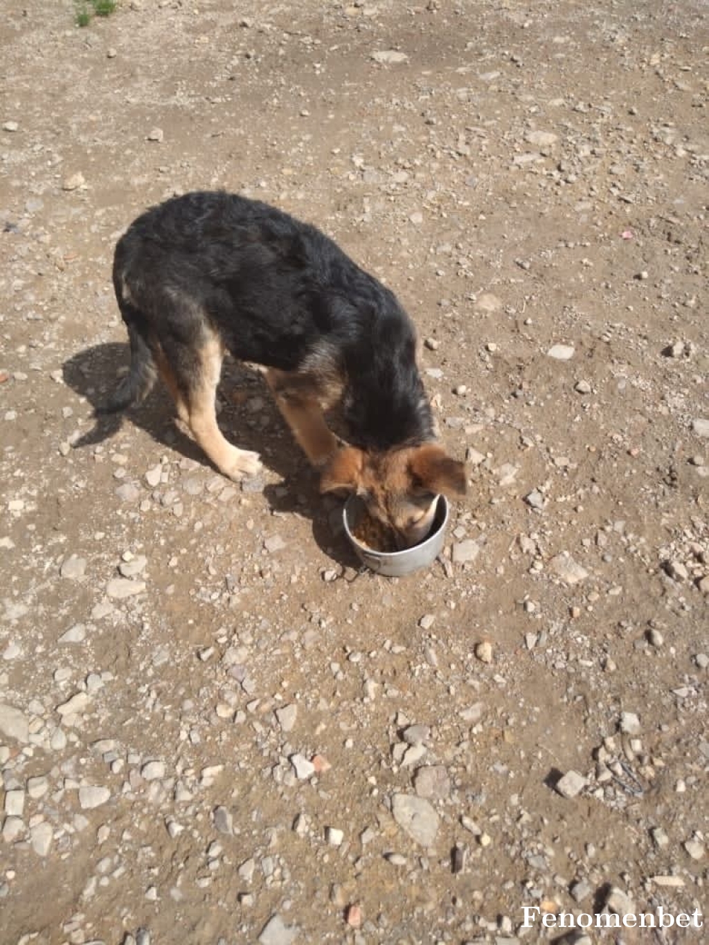 EmirhanKamci  tarafından paylaşıldı