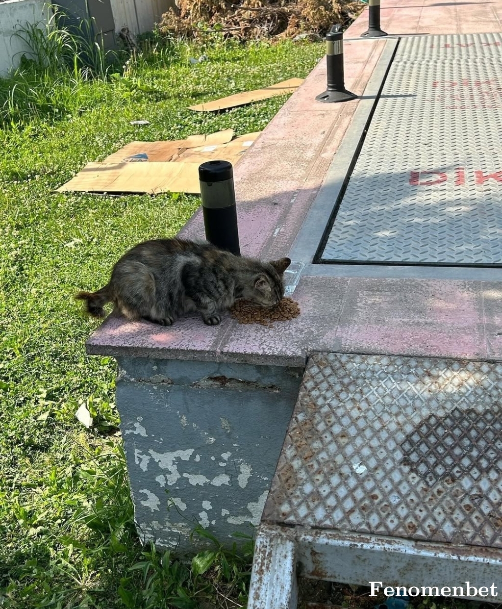 Tolga2777 tarafından paylaşıldı