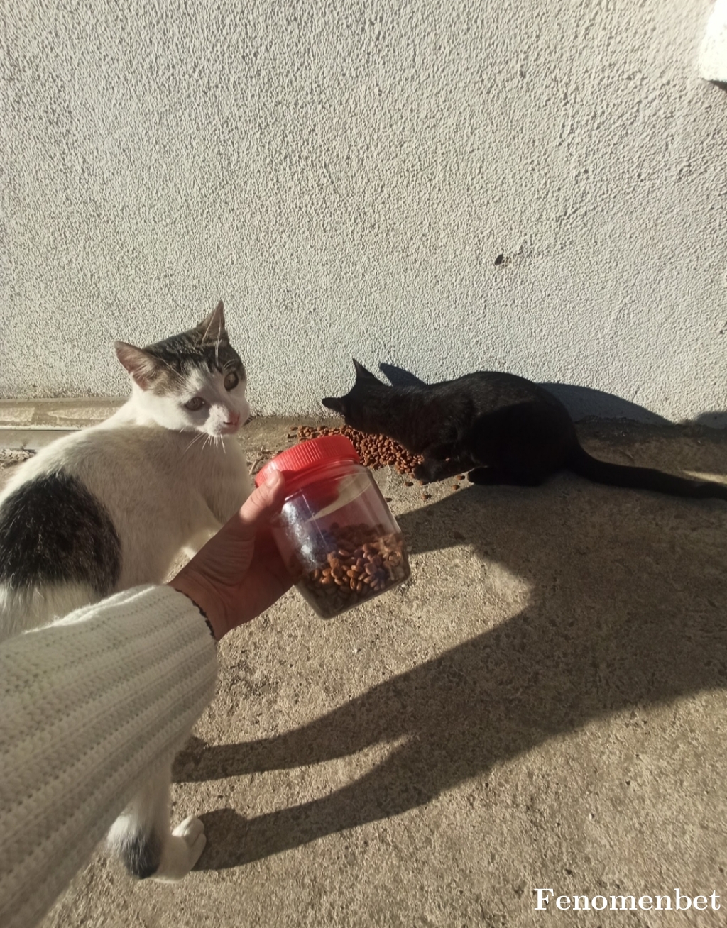 Erdikglzr5 tarafından paylaşıldı