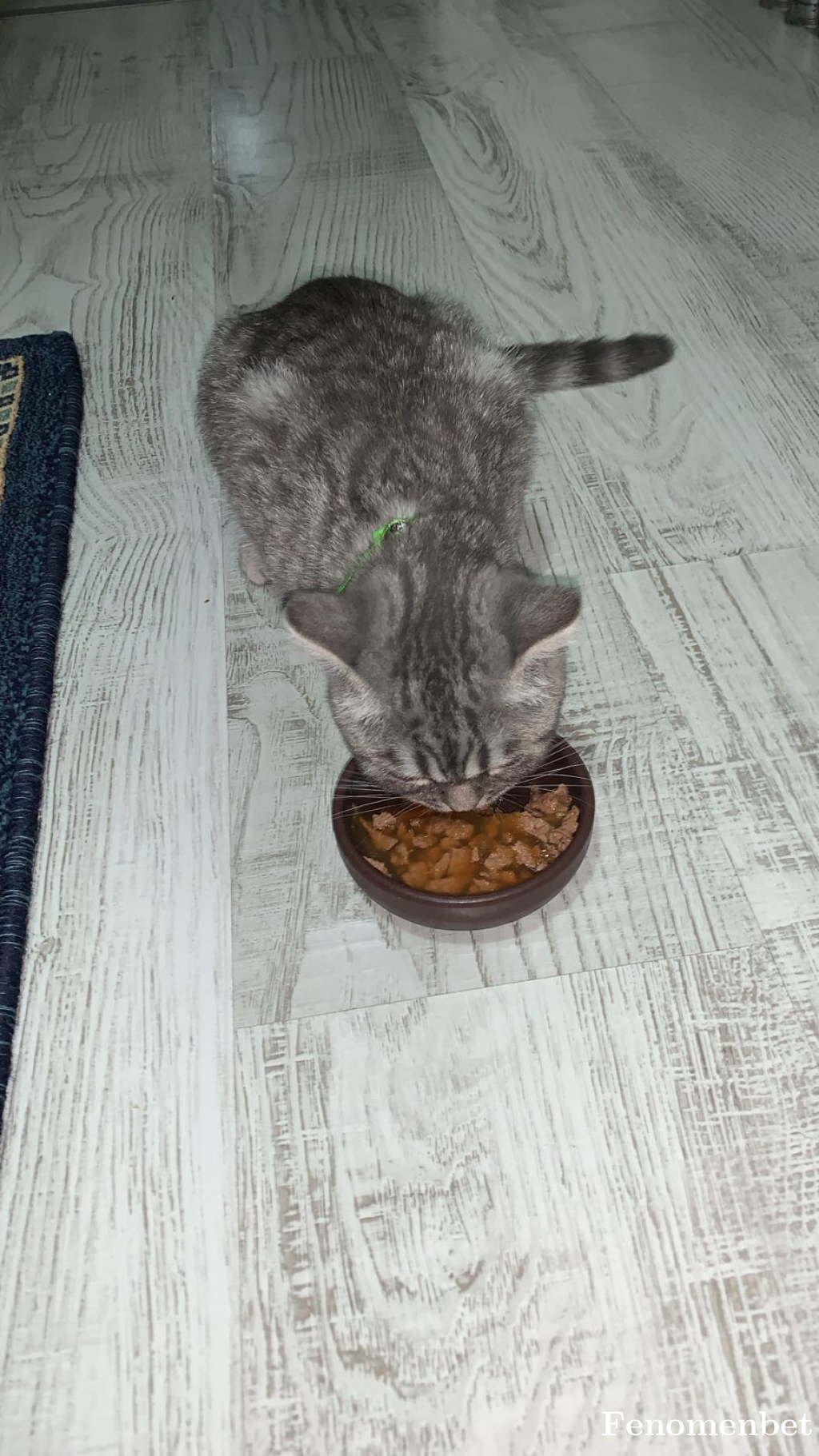 Can6420 tarafından paylaşıldı