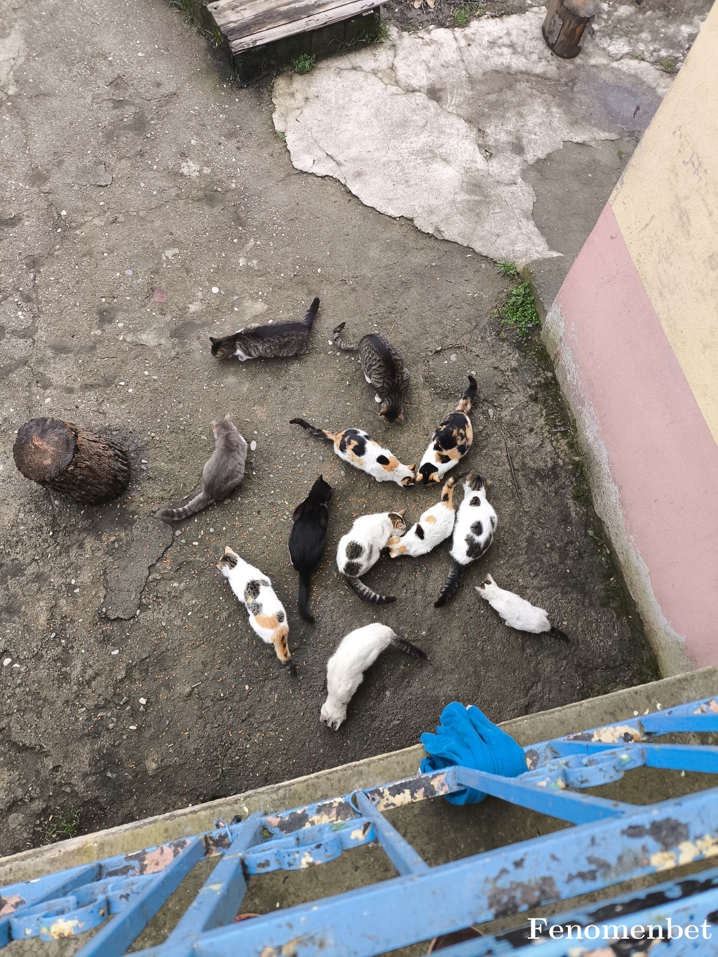 rmzndmrby58 tarafından paylaşıldı