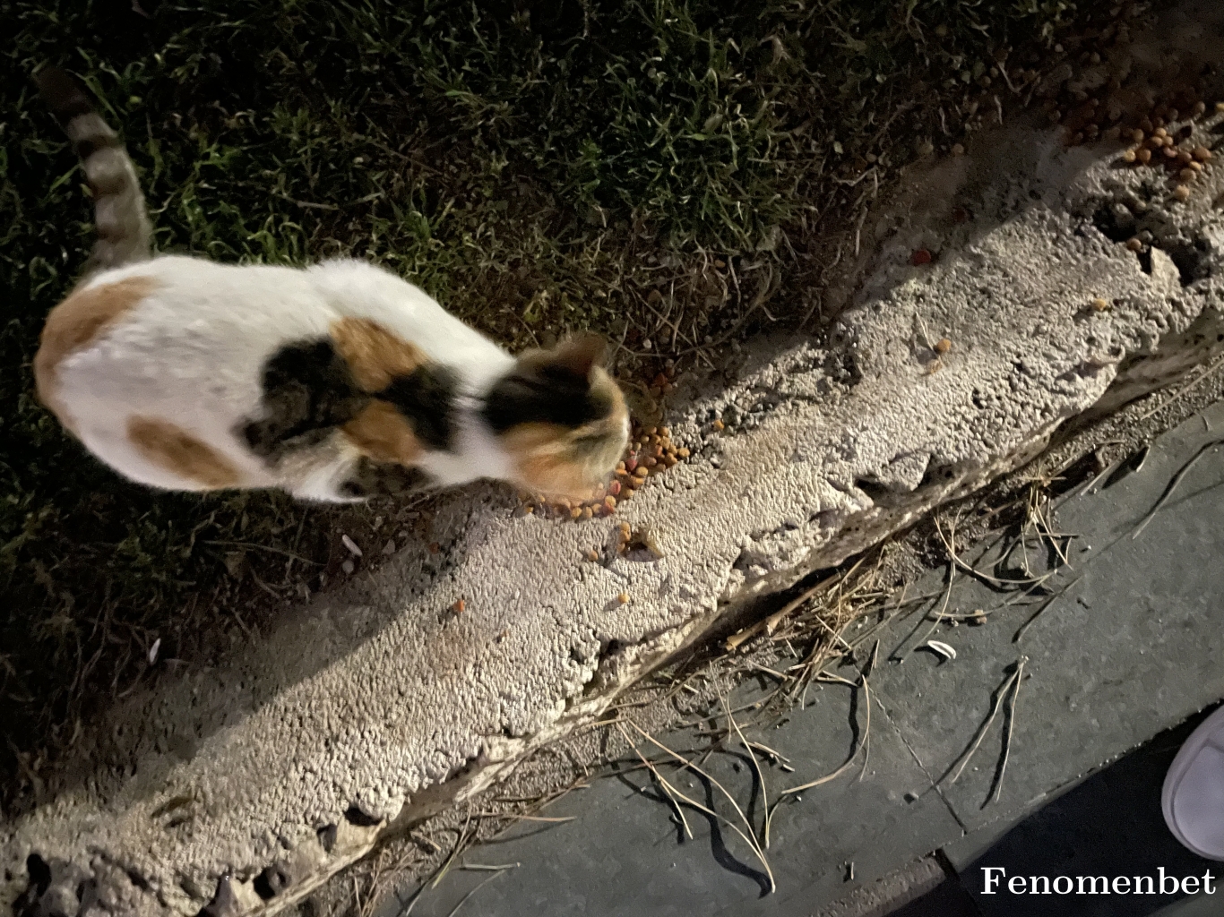 smtagaoglu tarafından paylaşıldı