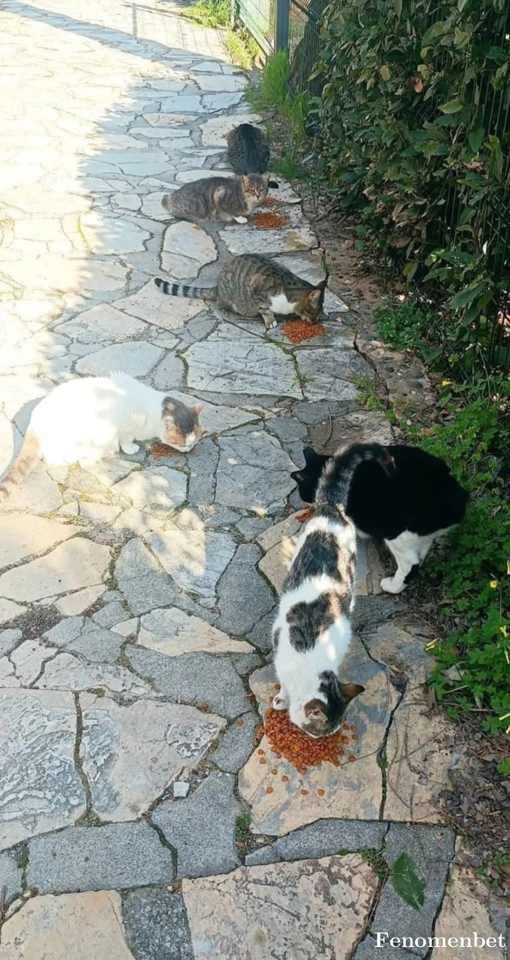 Sedat06  tarafından paylaşıldı