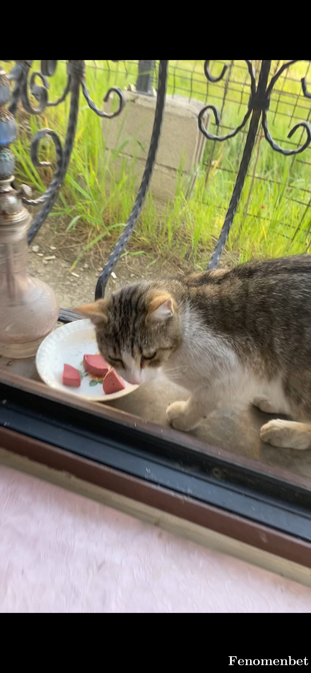 Sinanseyhan74 tarafından paylaşıldı