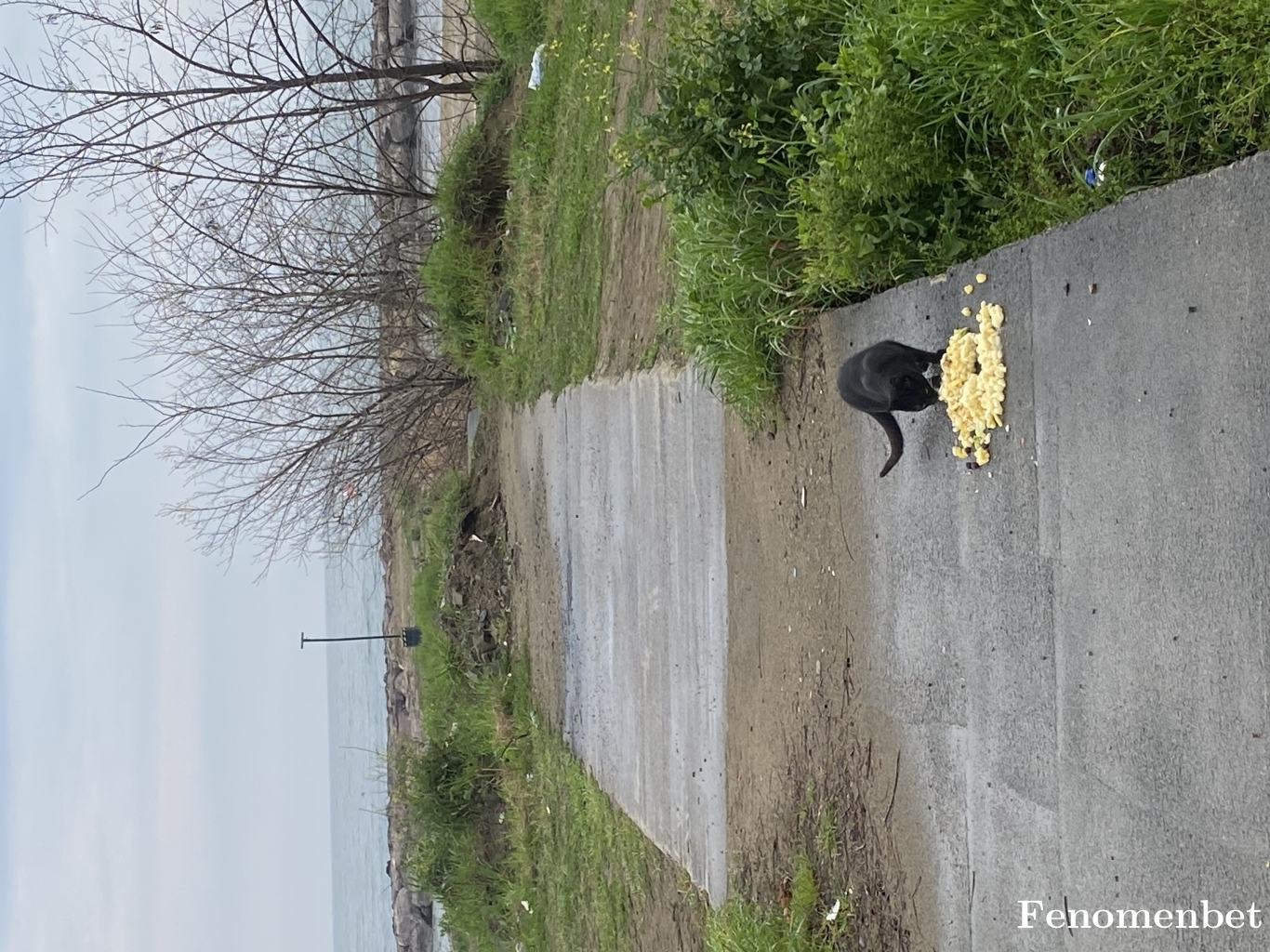 Kartal tarafından paylaşıldı