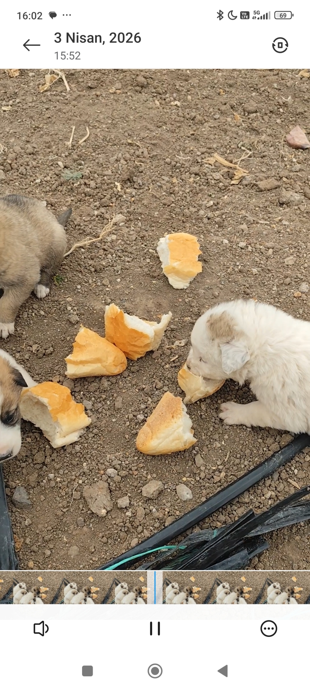 Gokhan8383 tarafından paylaşıldı