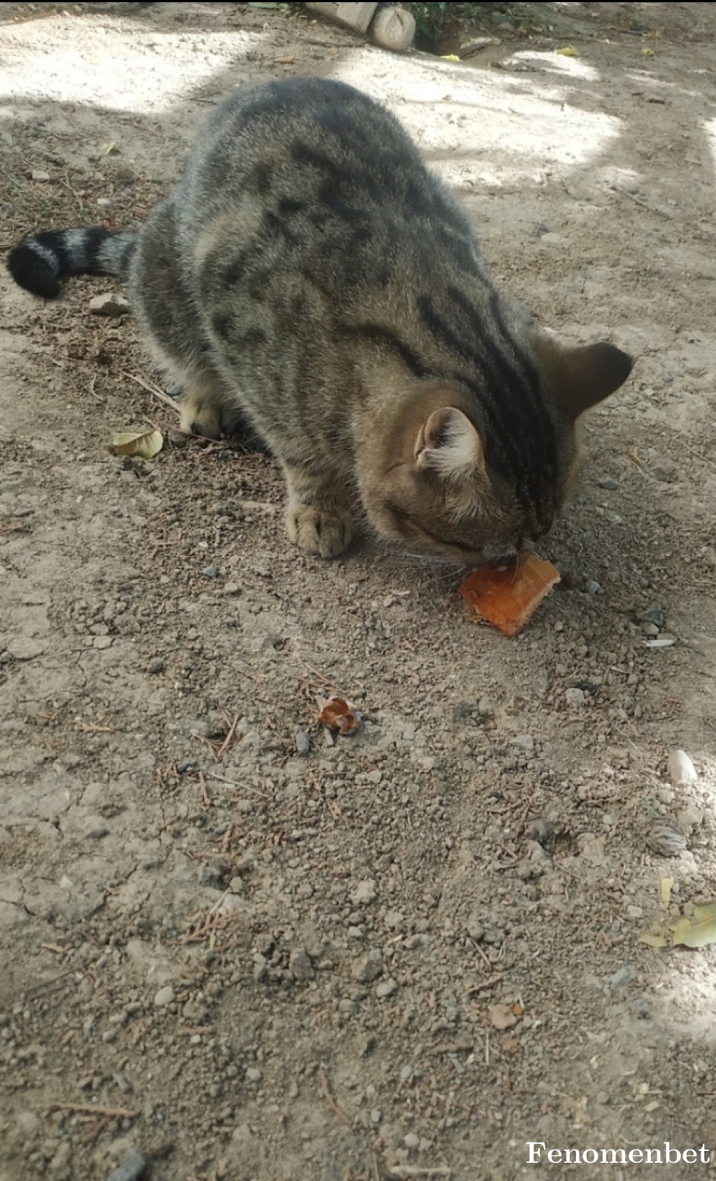 Baygaraj42  tarafından paylaşıldı