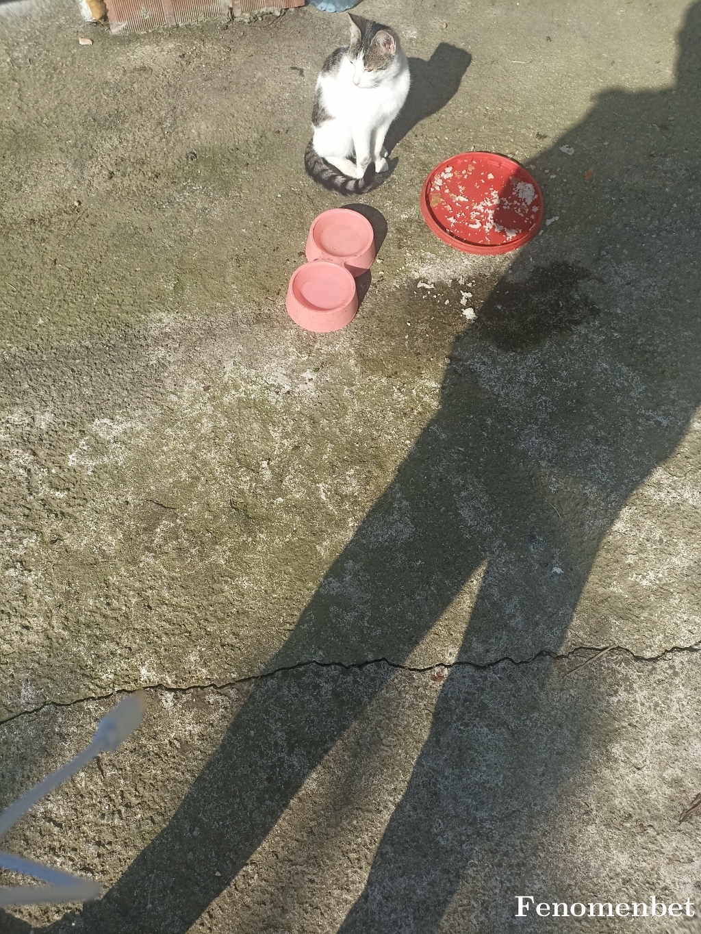 Alperselim tarafından paylaşıldı