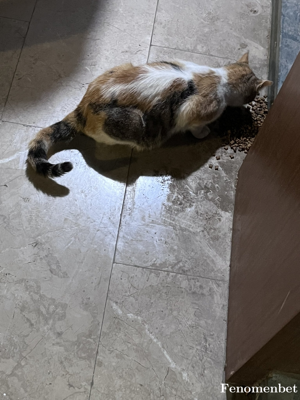 serhattyerlikaya tarafından paylaşıldı