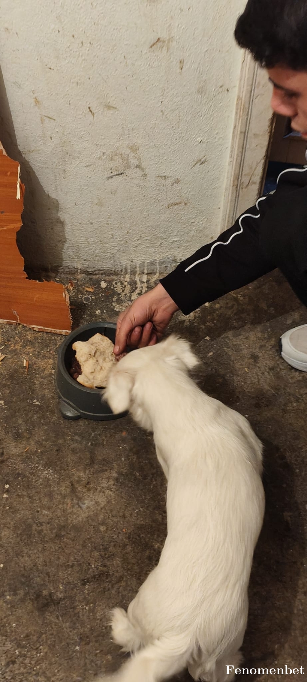 Plt123 tarafından paylaşıldı