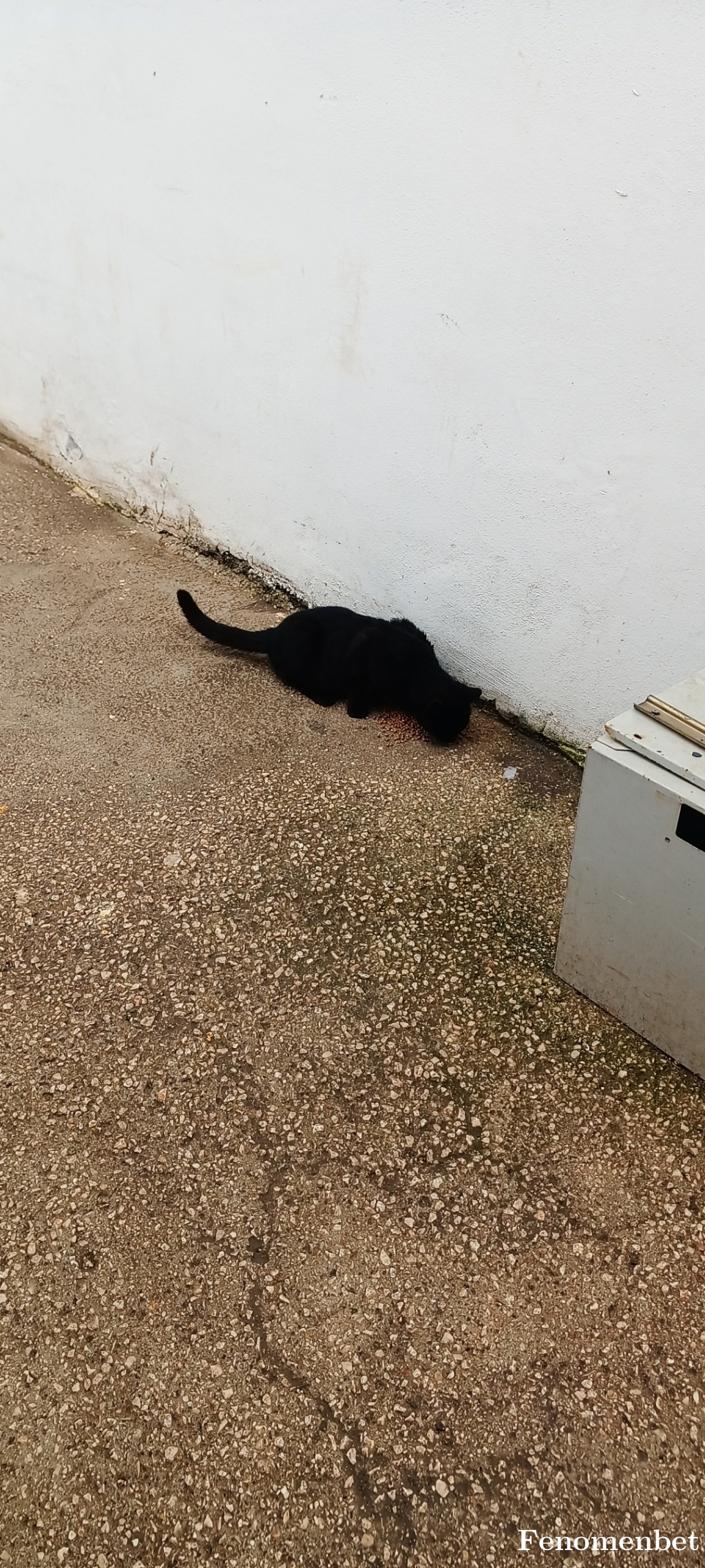 mehmet27 tarafından paylaşıldı