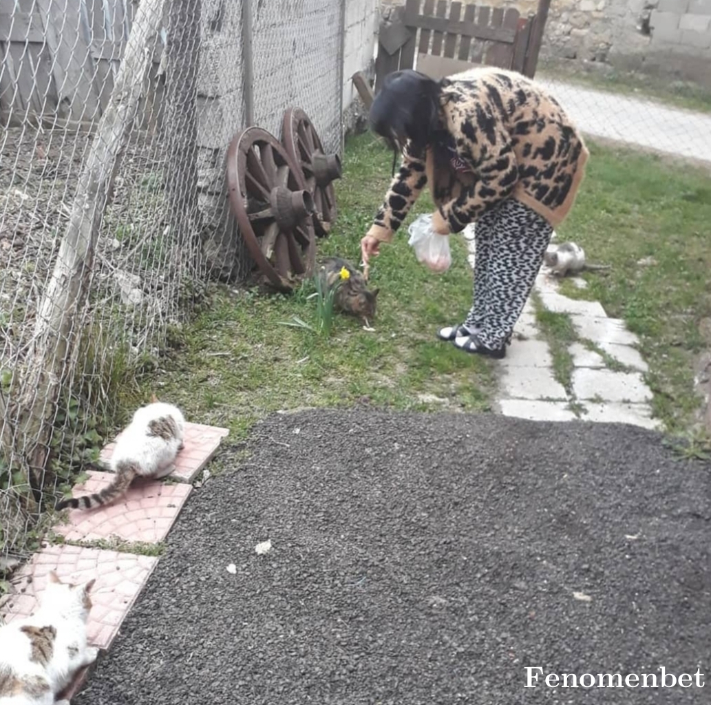 Nestkot6767 tarafından paylaşıldı