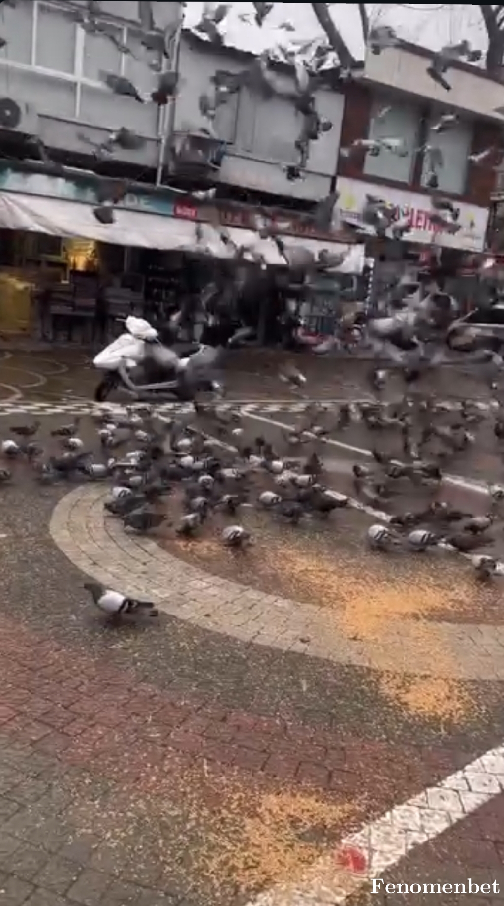 Pompaleyte tarafından paylaşıldı