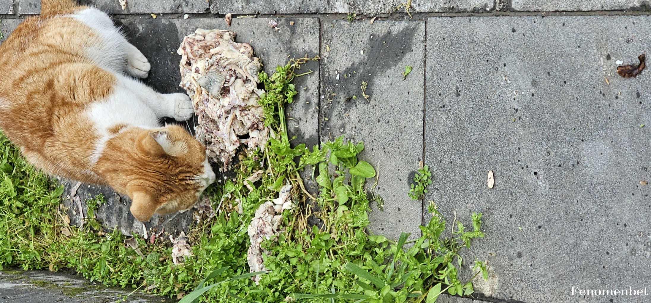 Dyr333 tarafından paylaşıldı