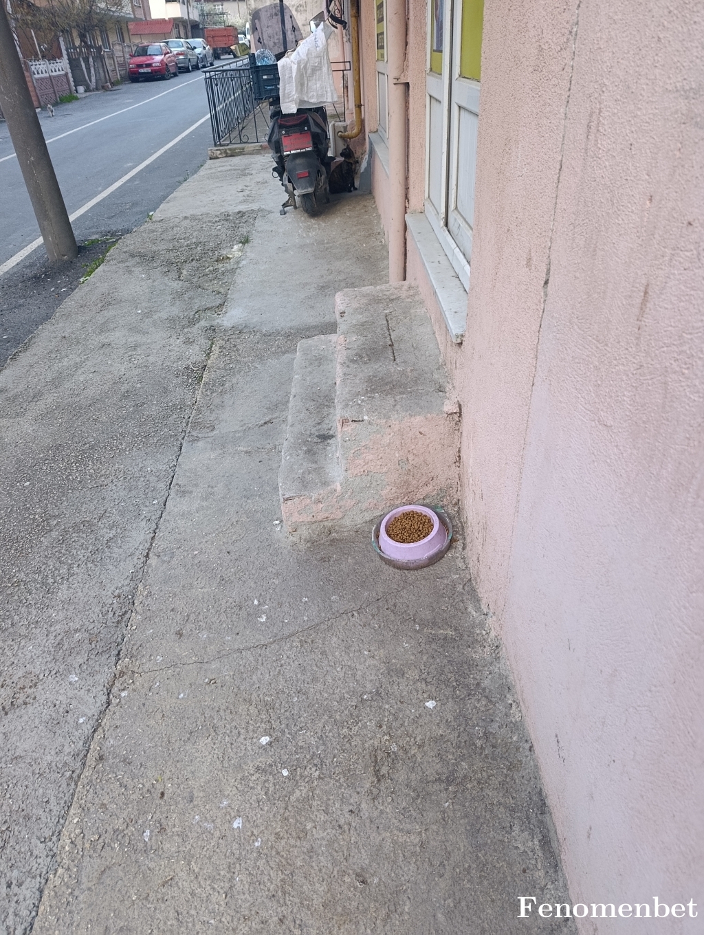 Margi59 tarafından paylaşıldı