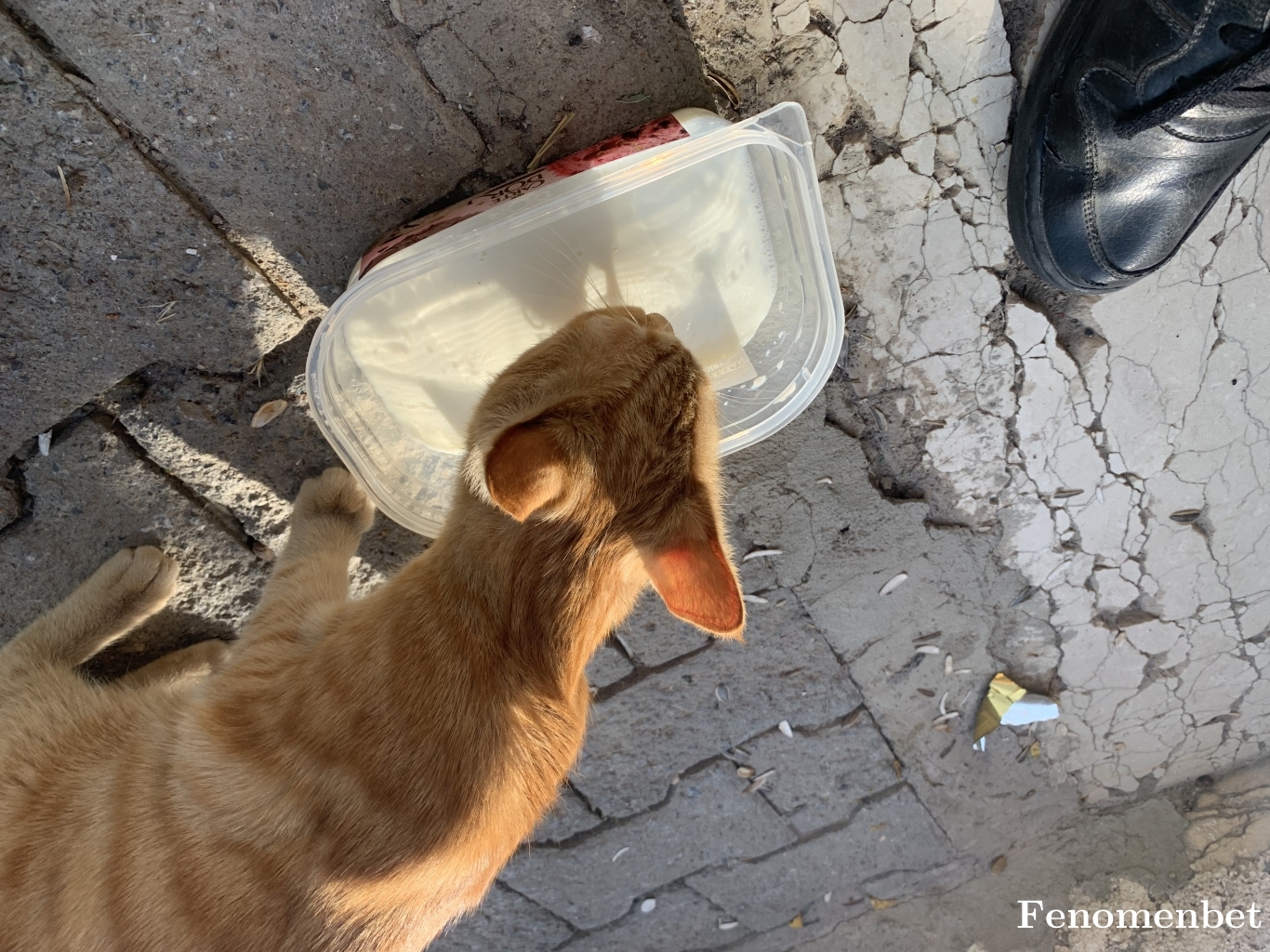 Eminz01 tarafından paylaşıldı