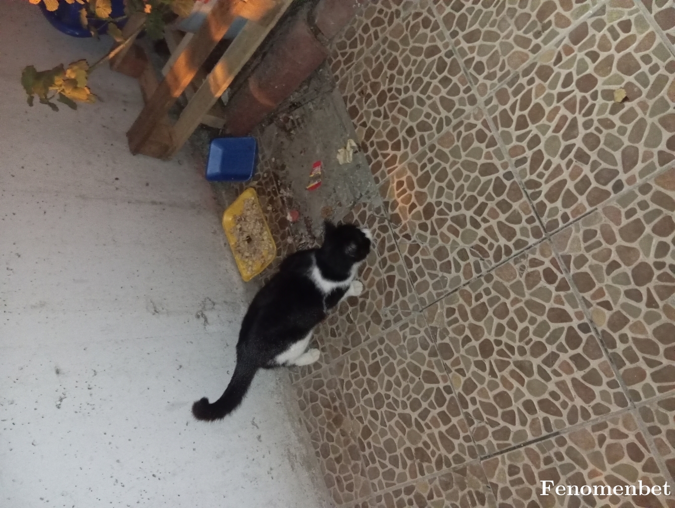 Filizfiti tarafından paylaşıldı