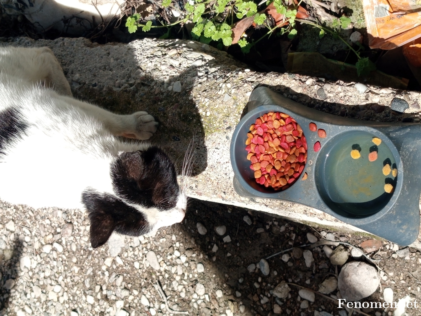 Ilkeruysll tarafından paylaşıldı