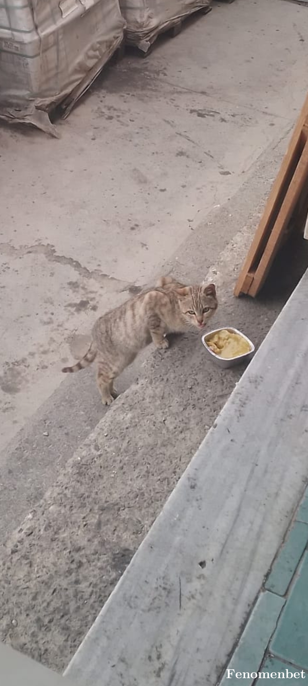 Hsckn tarafından paylaşıldı