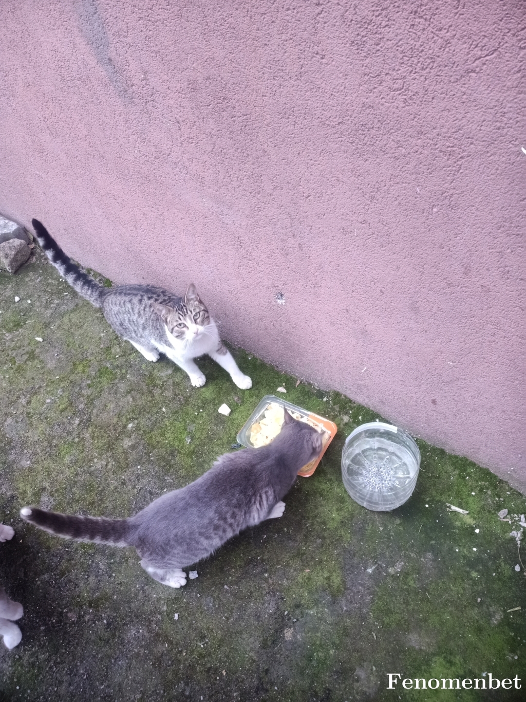 Angel34 tarafından paylaşıldı