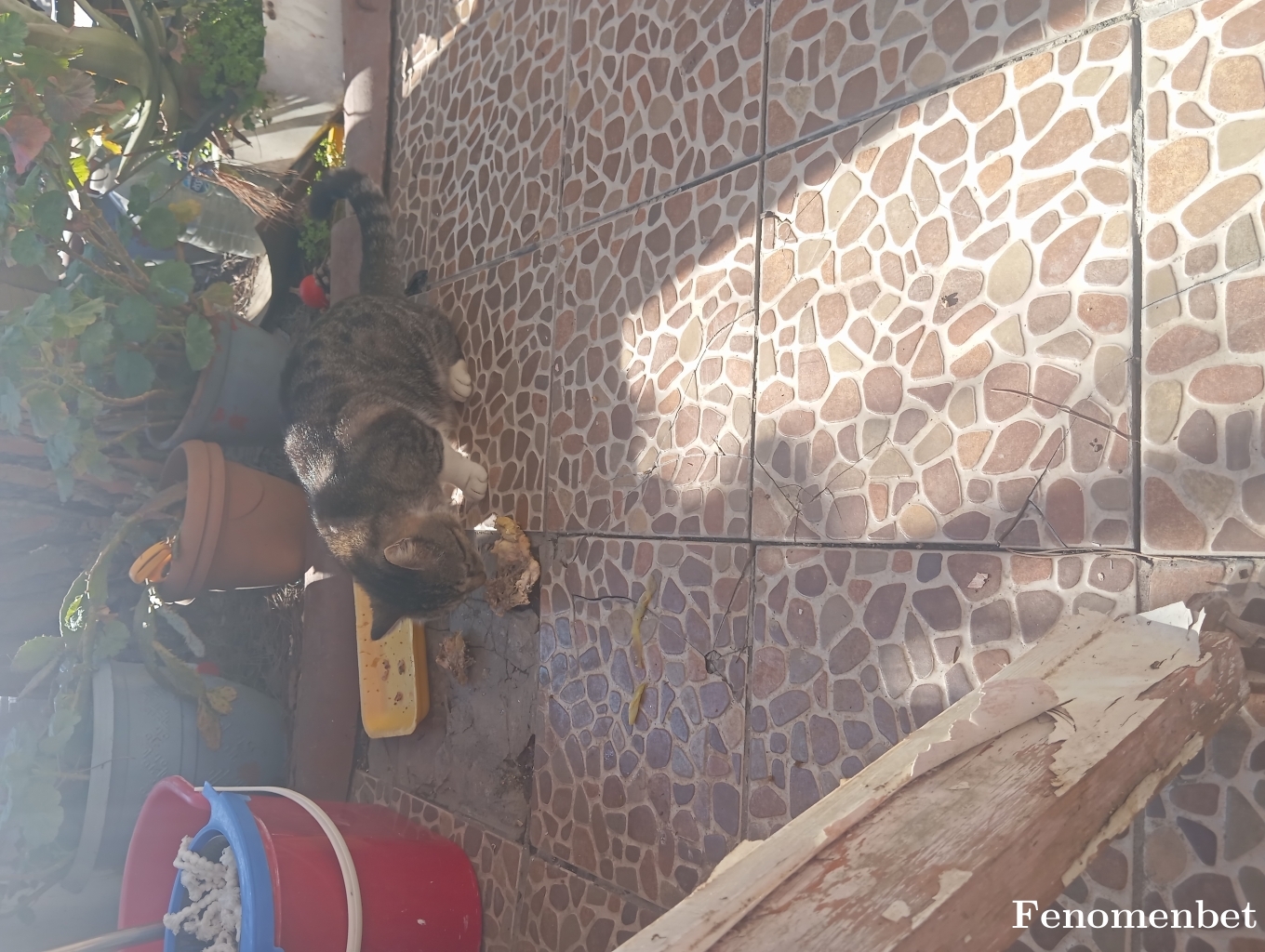 Sevimfiti tarafından paylaşıldı