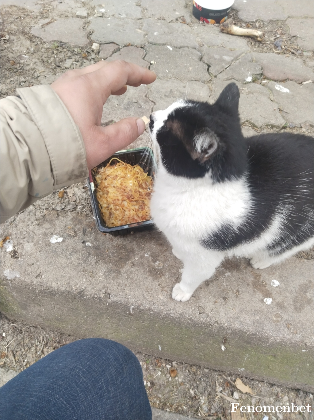 arkin123 tarafından paylaşıldı