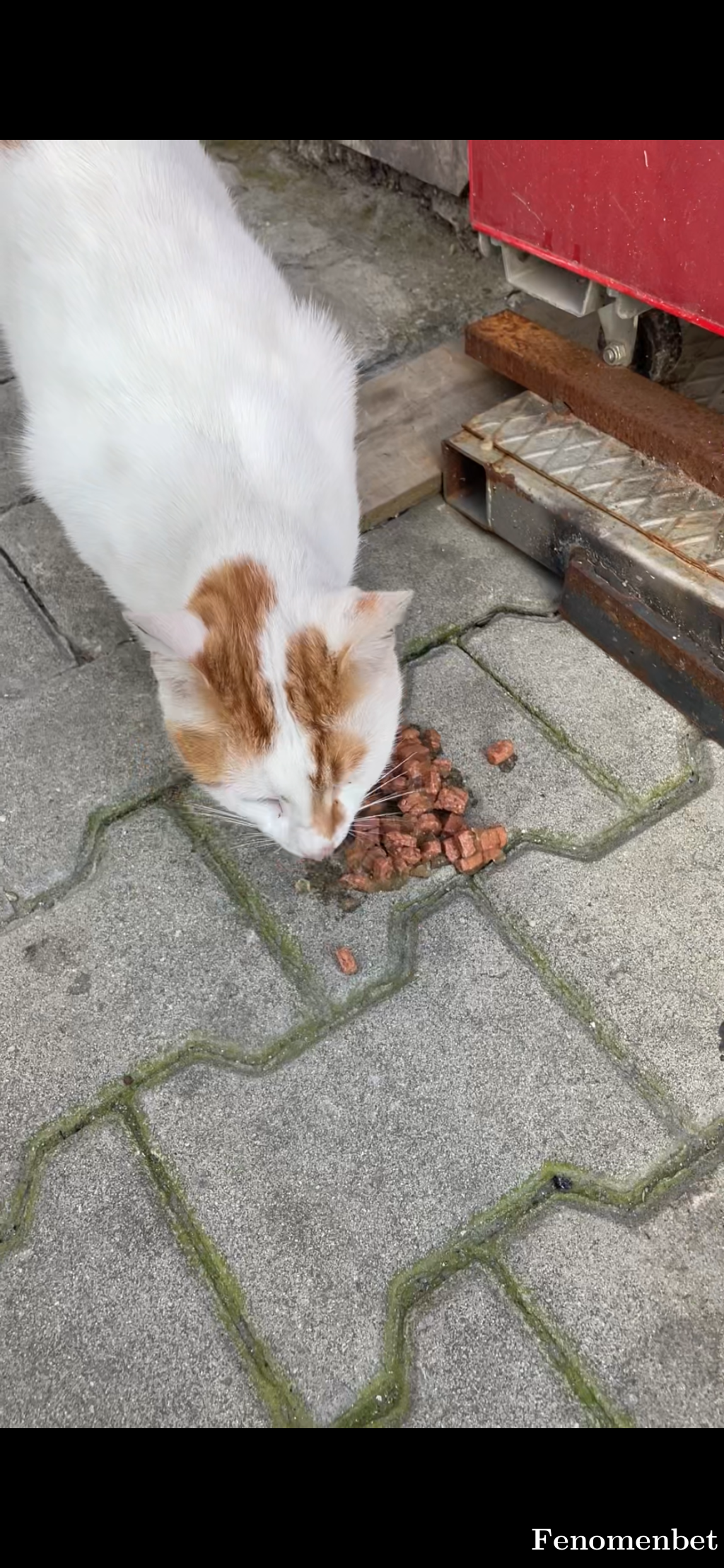 Boss1907 tarafından paylaşıldı