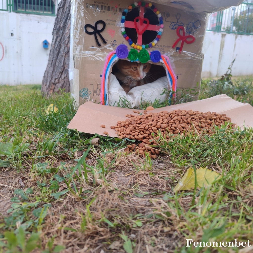 Rappasa tarafından paylaşıldı