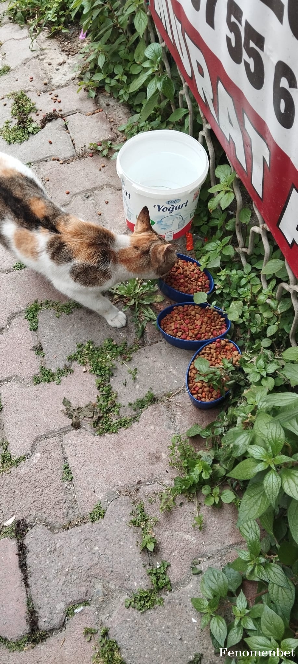 seker55 tarafından paylaşıldı