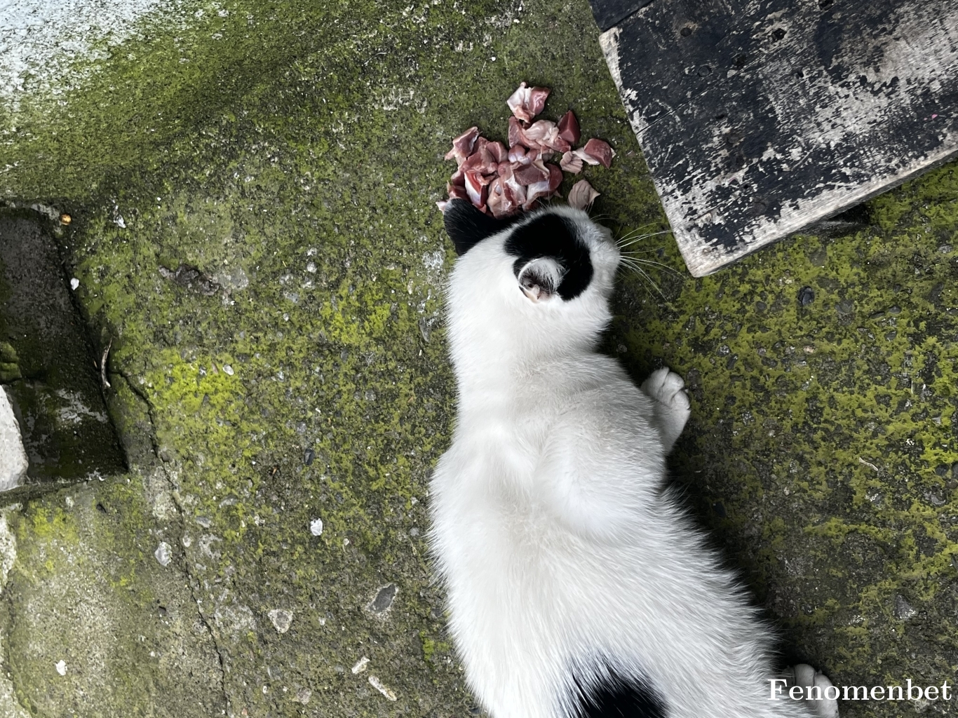 grower3158 tarafından paylaşıldı