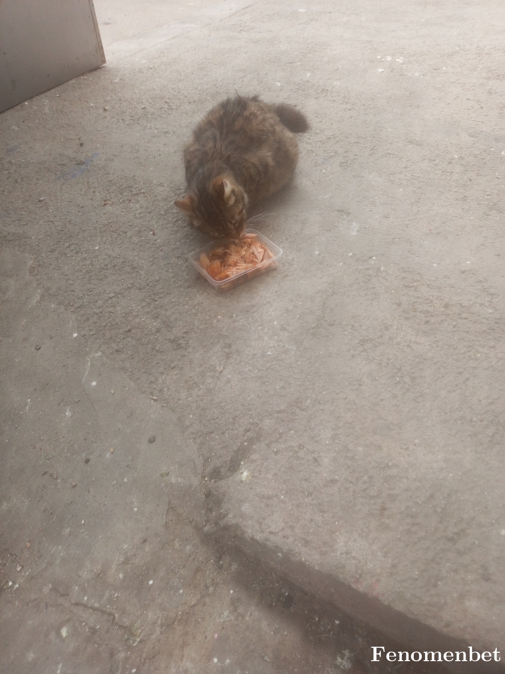 Kenan60 tarafından paylaşıldı