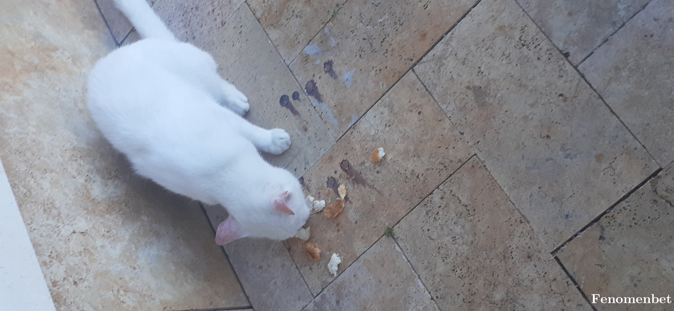 kinabruk tarafından paylaşıldı