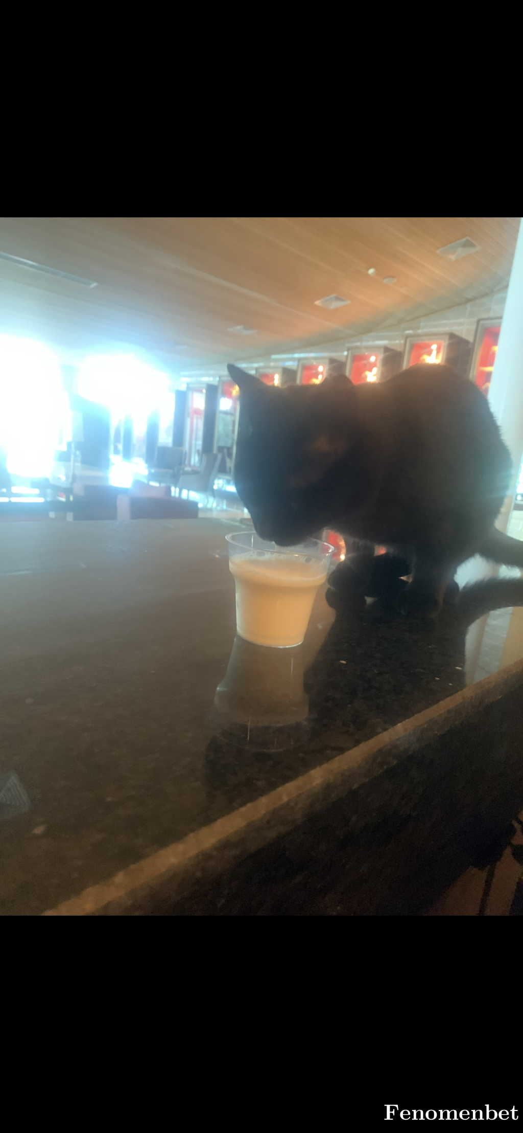 wxtalha tarafından paylaşıldı