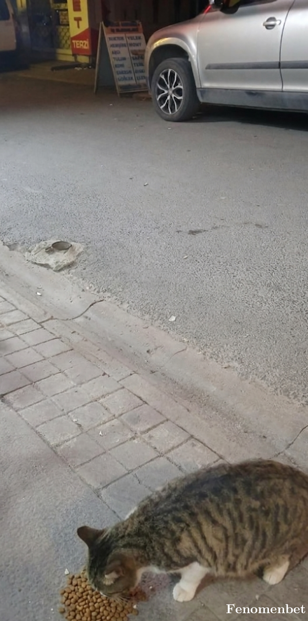 Yavuz158 tarafından paylaşıldı