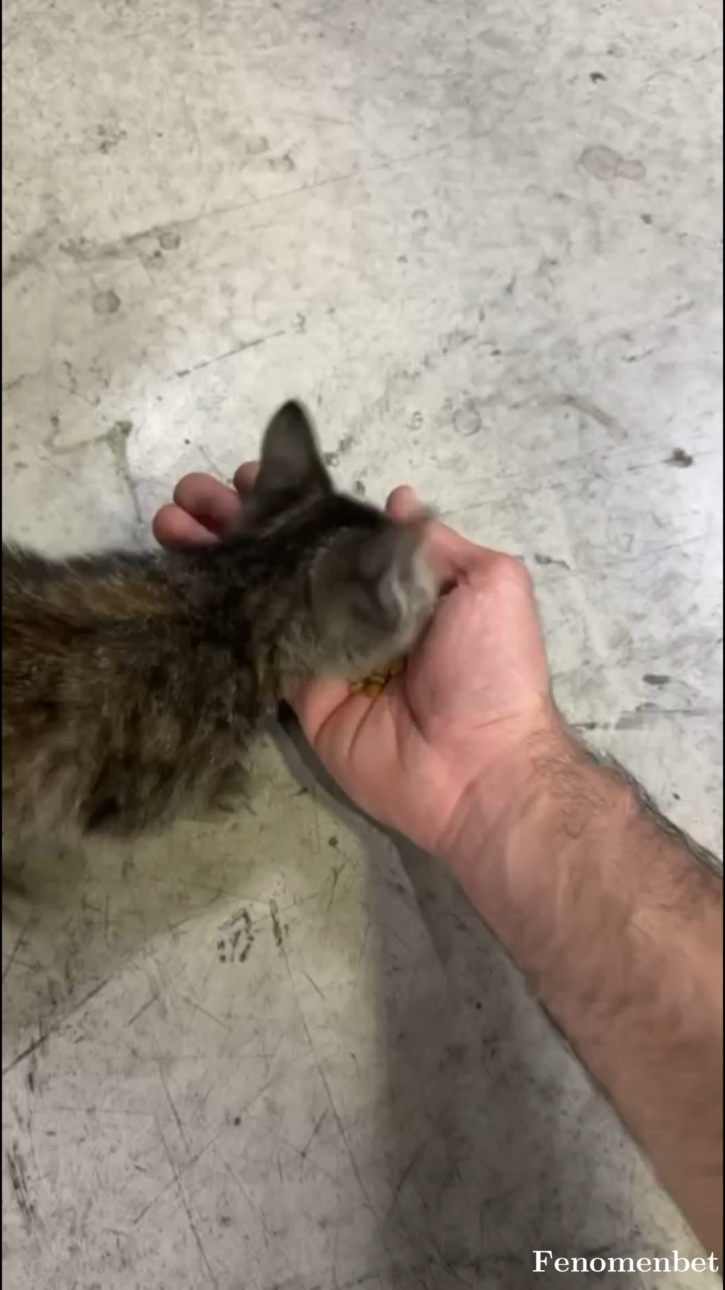 Sidar1905 tarafından paylaşıldı