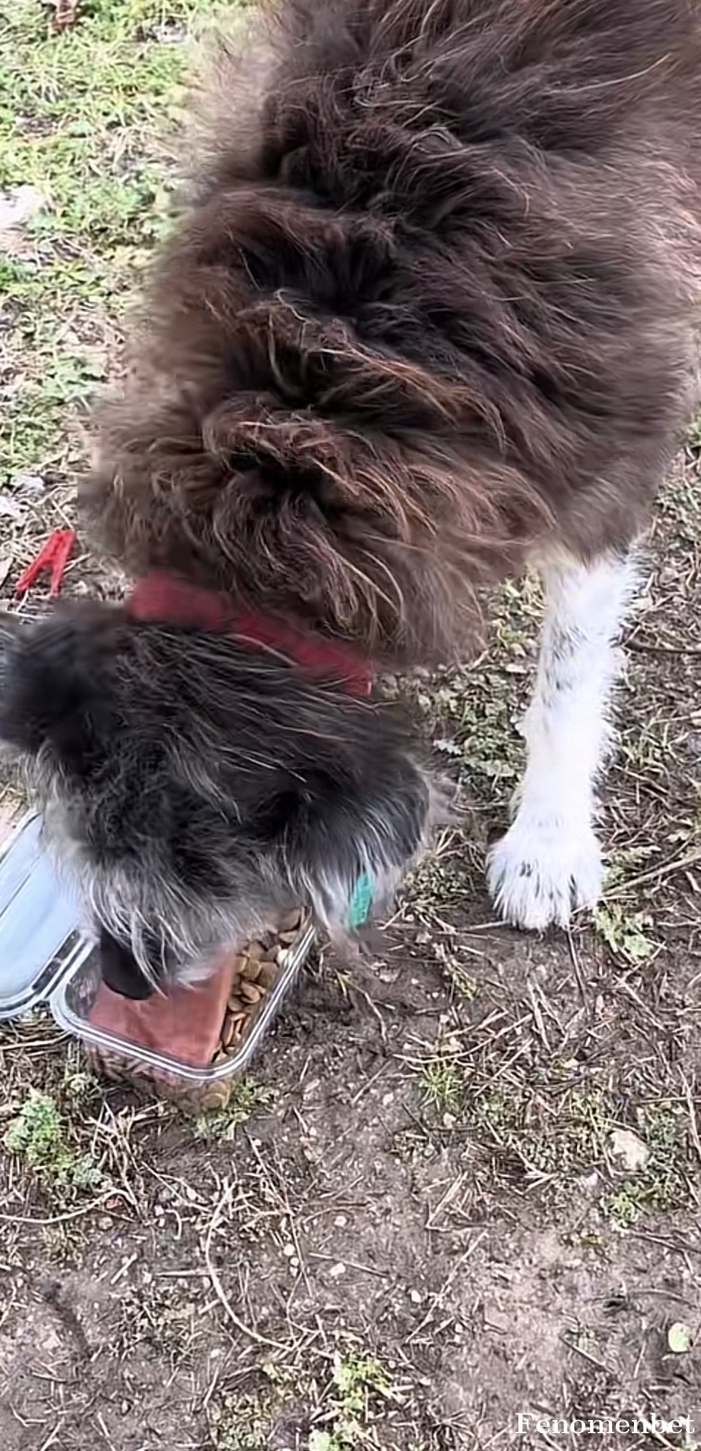 Ugurcn60 tarafından paylaşıldı