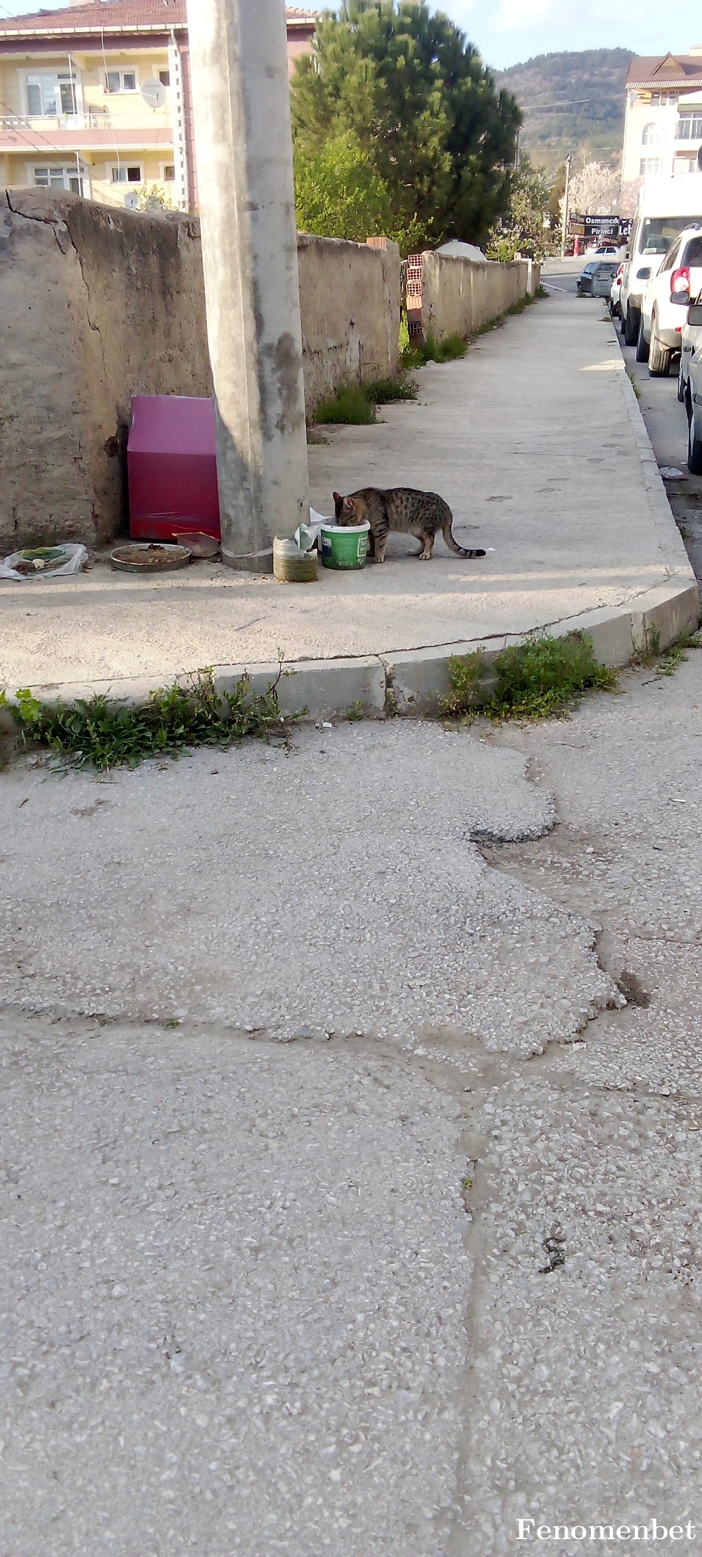 Bayramtemur1  tarafından paylaşıldı