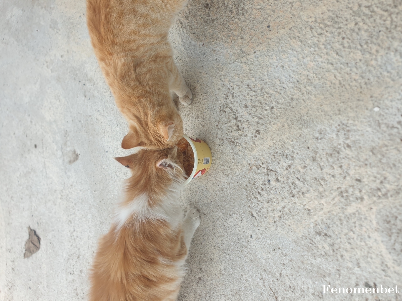 sondarbe42 tarafından paylaşıldı