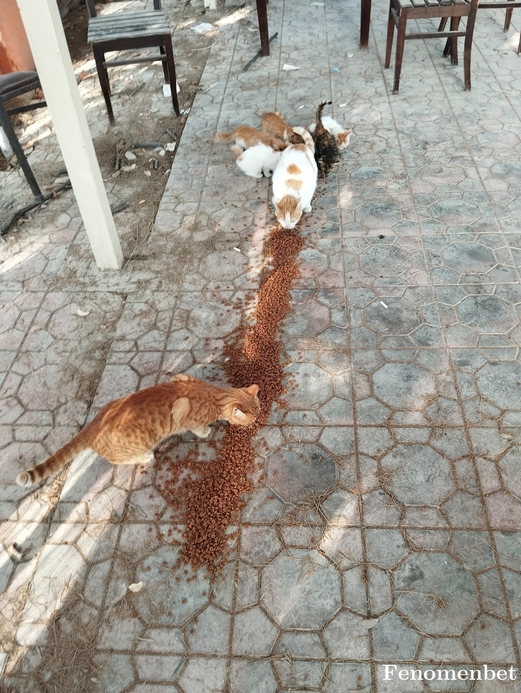 mryildizhan tarafından paylaşıldı