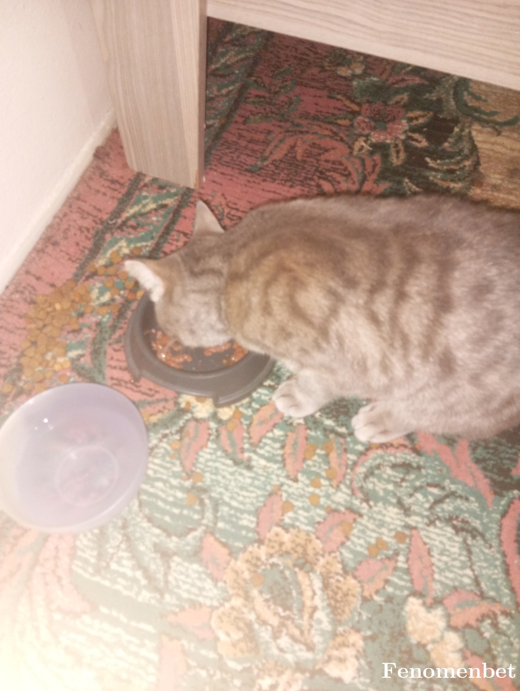 Aliacar16 tarafından paylaşıldı