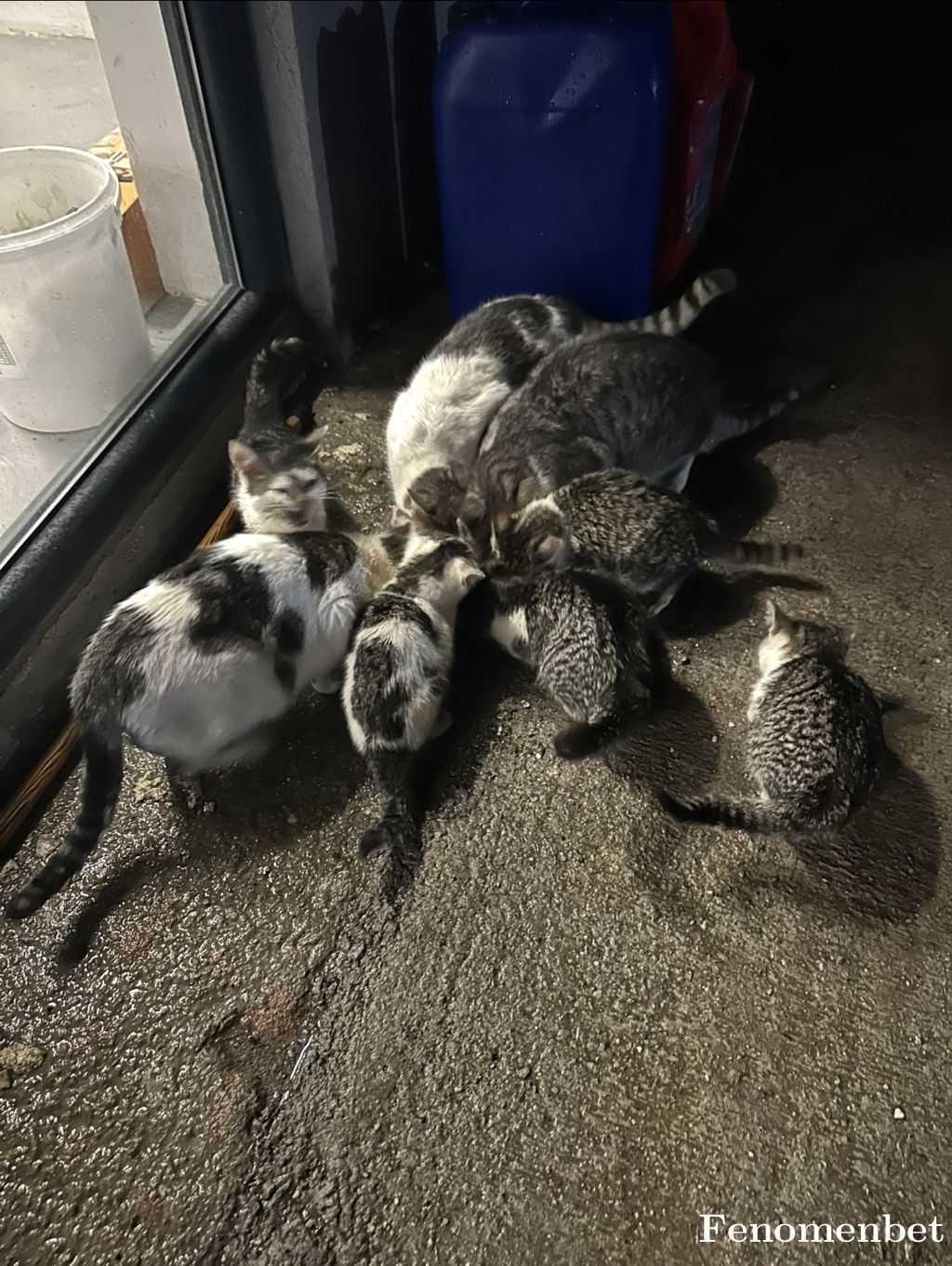 Xdestroyer tarafından paylaşıldı